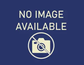 9A726084900 CONTINENTAL Belt Porsche Panamera