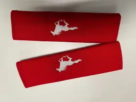 SBC-CO82-HOR10 DESIGNCOVERS Seat Belt Covers Running Horse