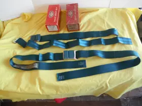 C3RZ-6261200-U FORD Nos Turquoise Seat Belts Rotunda Galaxie