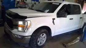 F150 FORD TRUCK Seat Belt Front Bench Driver