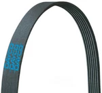 Serpentine Belt-full Hybrid Ev-gas (fhev) Dayco. Fixed Price $33.65.