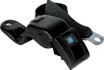 1967-69 Camaro, Firebird Front Bucket Seat Belt - Black. Fixed Price $186.89.