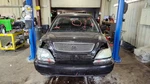 Seat Belt Front Bucket Passenger Retractor Fits 01-03 Lexus Rx300. Fixed Price $85.00.