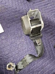 12-18 Ford Focus Rear Seatbelt Left Or Right Belt Oem. Fixed Price $55.00.
