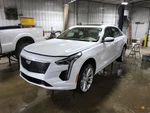 2019 Cadillac Ct6 Front Driver Seat Belt & Retractor Tan. Fixed Price $160.00.