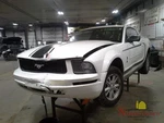 2008 Ford Mustang Front Driver Seat Belt & Retractor Gray. Fixed Price $130.00.