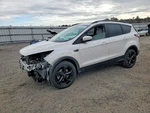 2017 Ford Escape Front Driver Seat Belt & Retractor 4dr Tan Used 89000 Mi. Fixed Price $101.93.