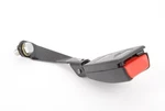 Genuine Bmw Lower Belt Rear Left 72-11-8-119-127 New. Fixed Price $91.15.