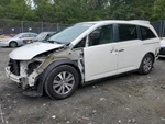 2014 Honda Odyssey Passenger Seat Belt & Retractor Tan Used. Fixed Price $100.70.