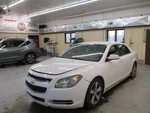Chevrolet Malibu 2009 Seat Belt 19208586 4332. Fixed Price $89.10.