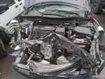 Used Front Right Seat Belt Fits: 2017 Honda Accord Sedan Japan Built Hybri. Fixed Price $107.64.